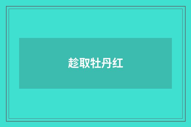 趁取牡丹红