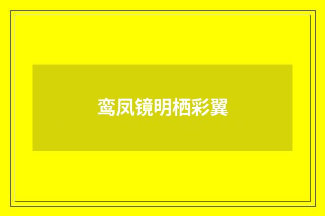 鸾凤镜明栖彩翼