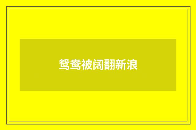 鸳鸯被阔翻新浪