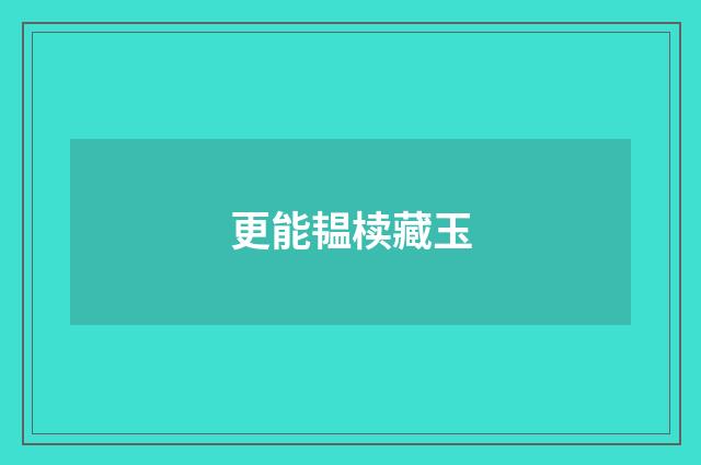 更能韫椟藏玉