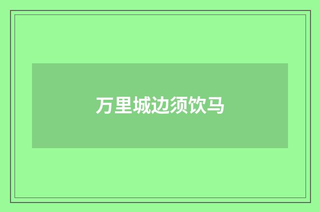 万里城边须饮马