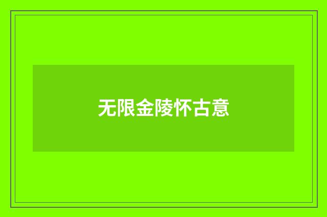 无限金陵怀古意