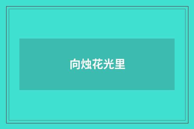 向烛花光里