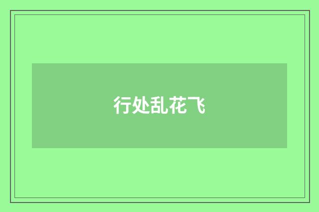 行处乱花飞