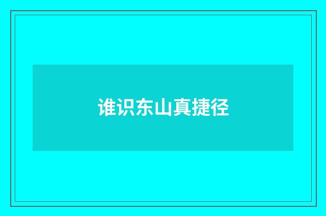 谁识东山真捷径
