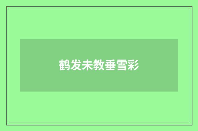 鹤发未教垂雪彩