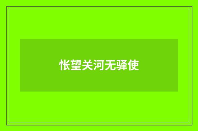 怅望关河无驿使