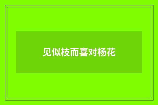 见似枝而喜对杨花