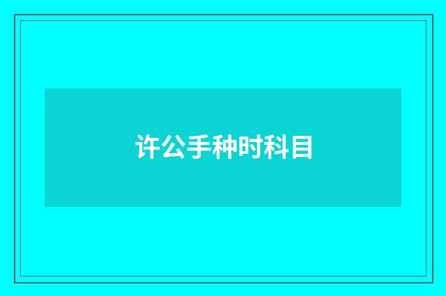 许公手种时科目