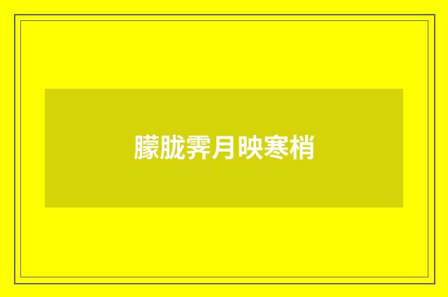 朦胧霁月映寒梢