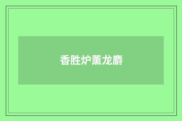 香胜炉薰龙麝