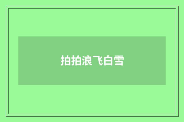 拍拍浪飞白雪
