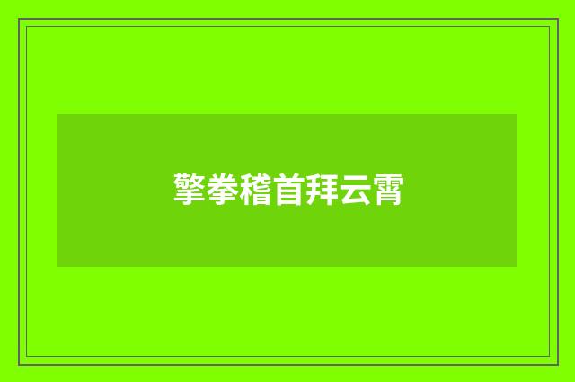 擎拳稽首拜云霄