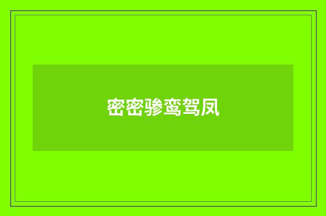 密密骖鸾驾凤