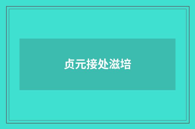 贞元接处滋培
