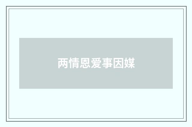 两情恩爱事因媒