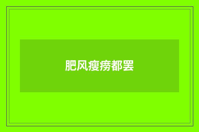 肥风瘦痨都罢