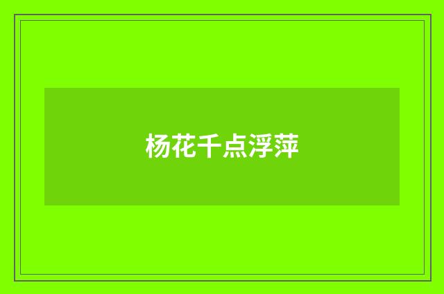 杨花千点浮萍