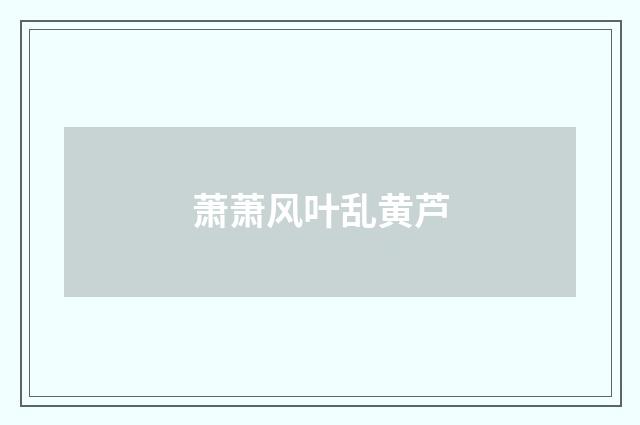 萧萧风叶乱黄芦