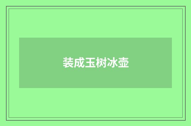 装成玉树冰壶