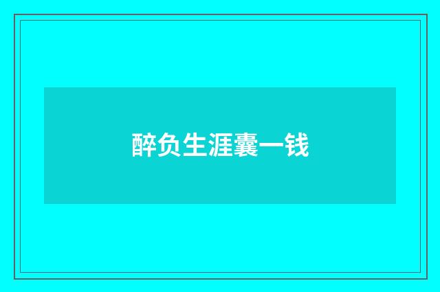 醉负生涯囊一钱