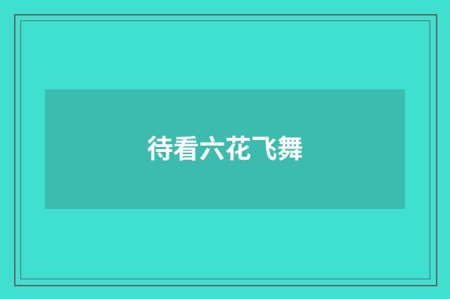 待看六花飞舞