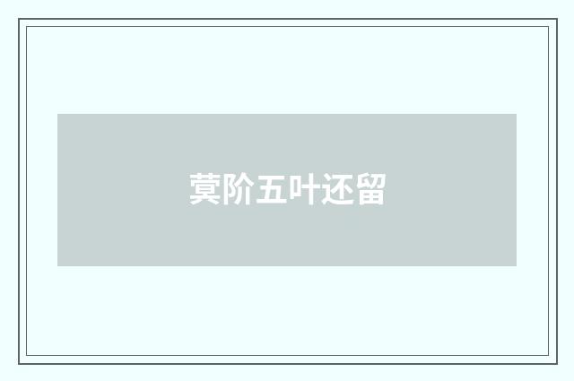 蓂阶五叶还留