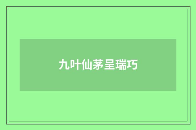 九叶仙茅呈瑞巧