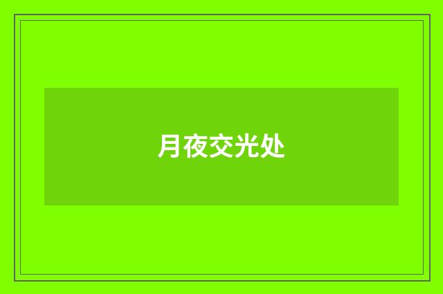 月夜交光处