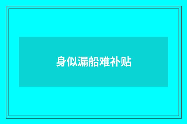 身似漏船难补贴
