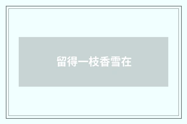 留得一枝香雪在