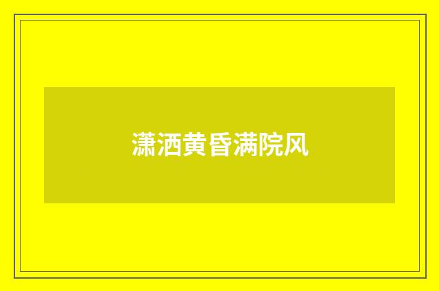 潇洒黄昏满院风