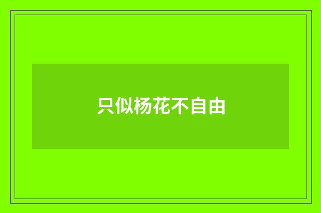 只似杨花不自由