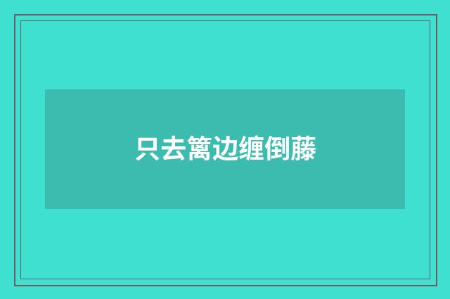 只去篱边缠倒藤