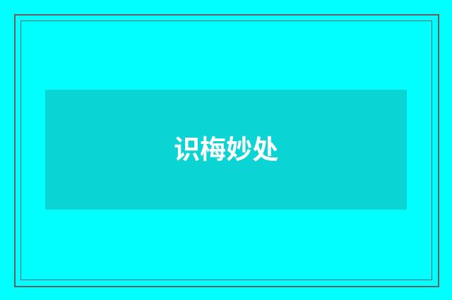识梅妙处