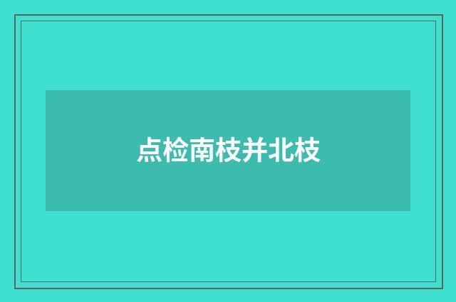 点检南枝并北枝