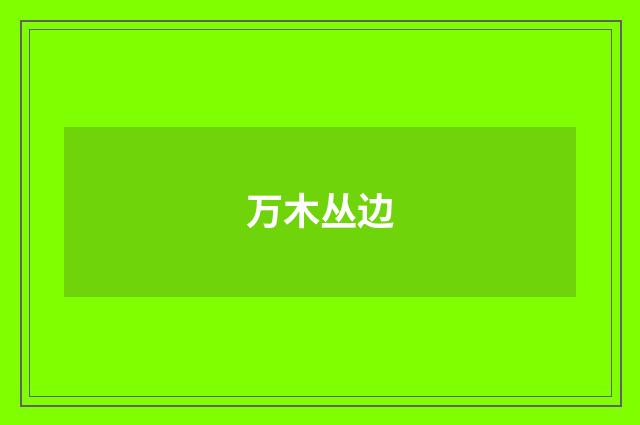 万木丛边