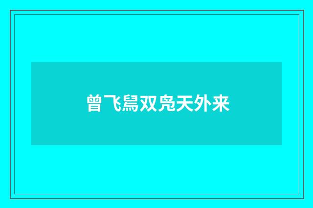 曾飞舃双凫天外来