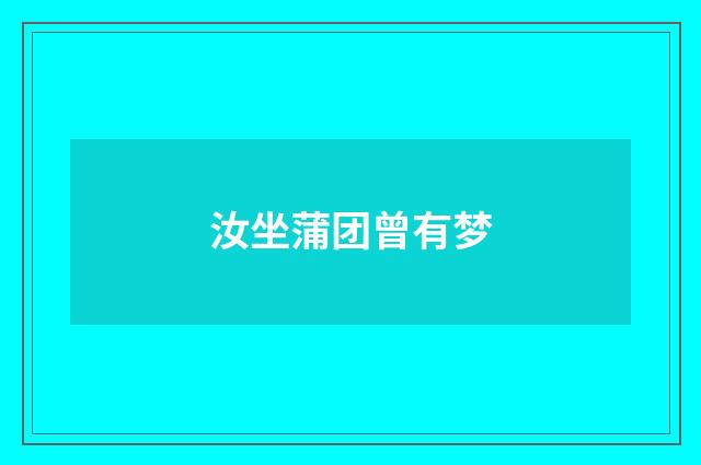 汝坐蒲团曾有梦