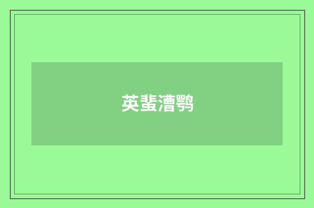 英蜚漕鹗