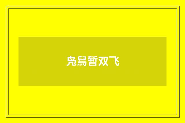 凫舃暂双飞