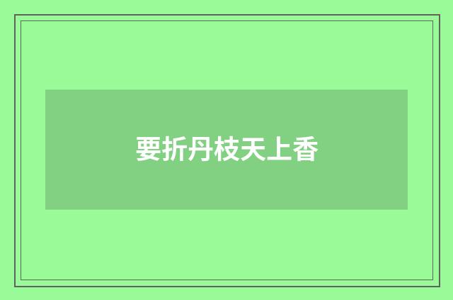 要折丹枝天上香