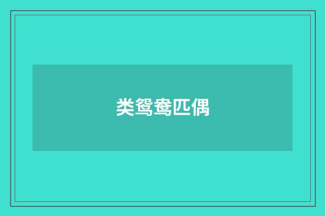 类鸳鸯匹偶