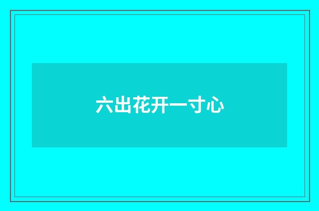 六出花开一寸心