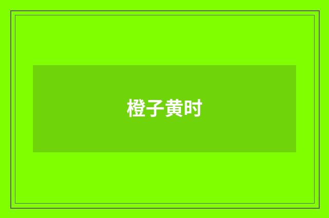 橙子黄时
