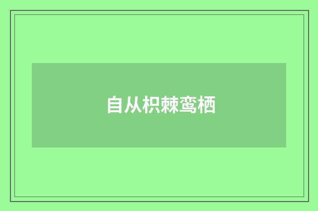 自从枳棘鸾栖