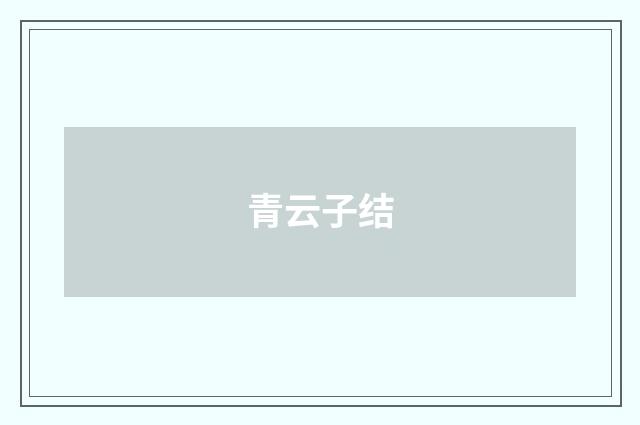 青云子结