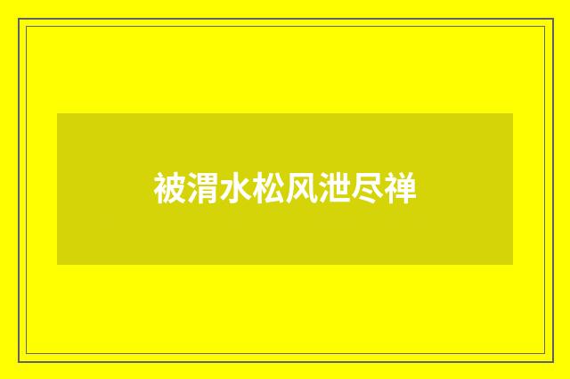 被渭水松风泄尽禅