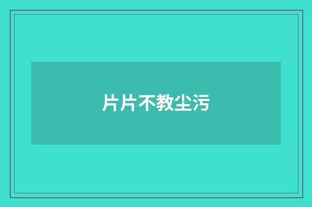 片片不教尘污