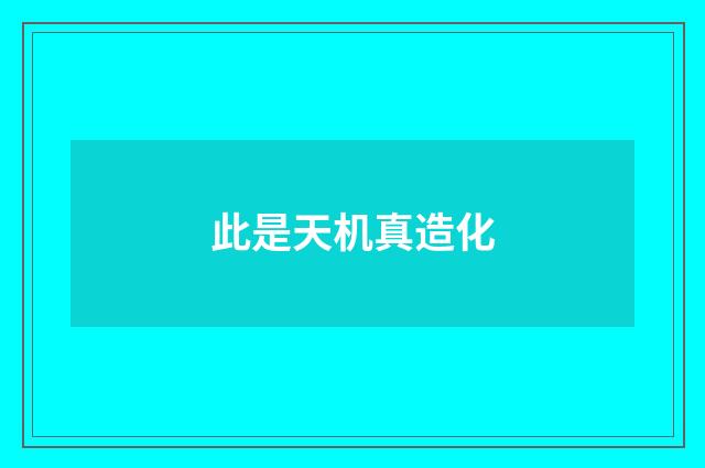 此是天机真造化
